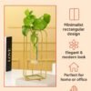 Premium Crystal Flower Holder – Perfect Centerpiece for Living Room Decor 4